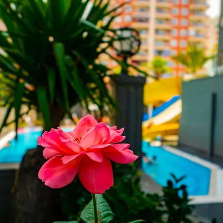 Hotel Senza Grand Santana